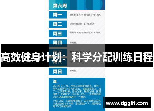 高效健身计划：科学分配训练日程