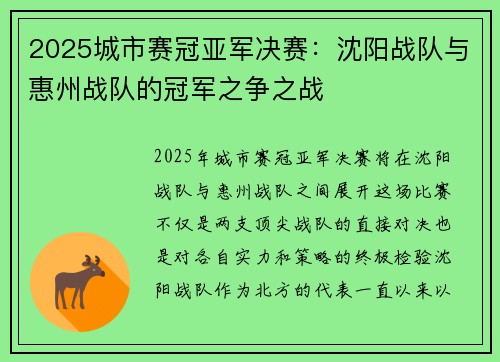 2025城市赛冠亚军决赛：沈阳战队与惠州战队的冠军之争之战